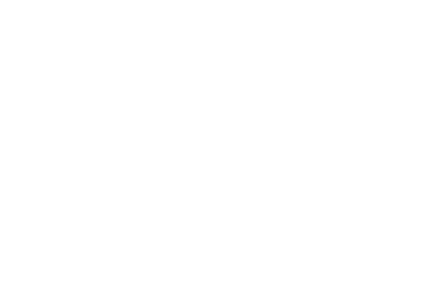 USC Asian Pacific Film Festival laurel